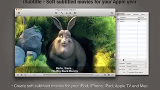 iSubtitle screenshot