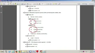 iTextPDF screenshot
