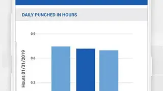 iTimePunch Plus Time Sheet App screenshot