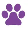 iTOMCAT