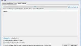 iTunes Duplicate Song Manager screenshot