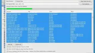 iTunes Duplicate Song Manager screenshot