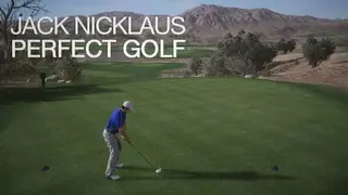 Jack Nicklaus Perfect Golf screenshot