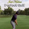 Jack Nicklaus Perfect Golf