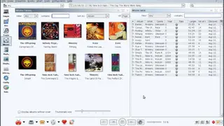 Jajuk screenshot