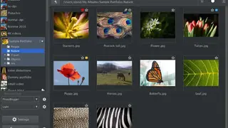 JAlbum screenshot