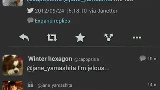 Janetter screenshot