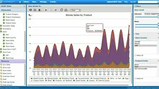 Jaspersoft screenshot