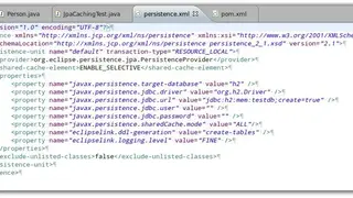 Java Persistence API screenshot