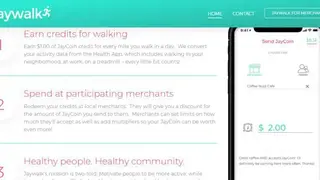 Jaywalk screenshot