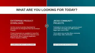 JBoss screenshot