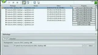 JDownloader screenshot
