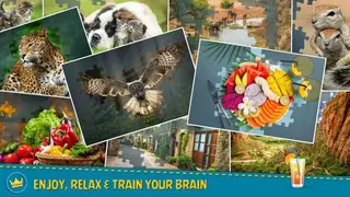 Jigsaw Puzzle Crown – Classic Jigsaw Puzzles screenshot