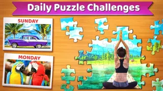 Jigsaw Puzzle – Pro Edition screenshot