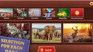 Jigsaw Puzzles World screenshot