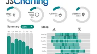 JSCharting screenshot