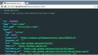JSON Viewer screenshot