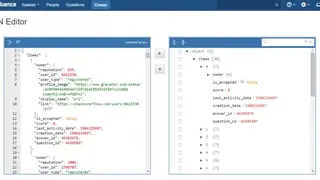 JSON Viewer screenshot