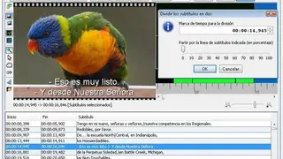 Jubler screenshot