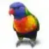 Jubler