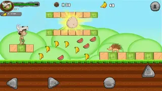 Jungle Adventures screenshot