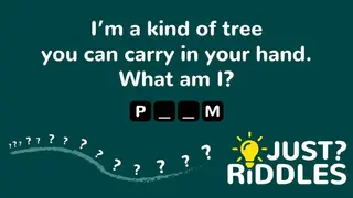 Just Riddles screenshot