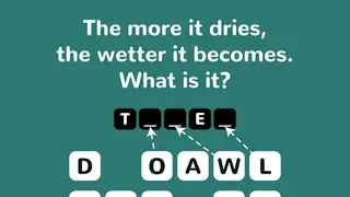 Just Riddles screenshot