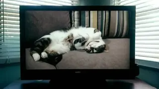 JustCast for Chromecast screenshot