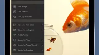 Juxtaposer screenshot