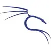Kali Linux
