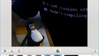 Kamoso screenshot