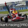 Kart Racing Pro