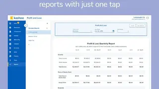 Kashoo screenshot