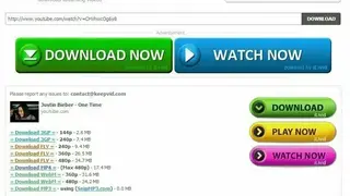 KeepVid screenshot
