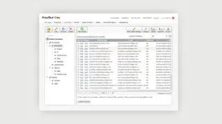 Key Survey screenshot