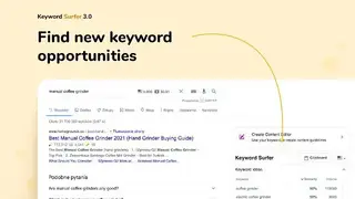 Keyword Surfer screenshot