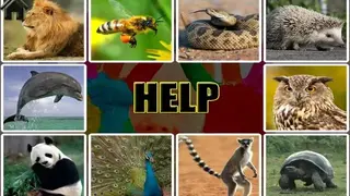Kids Educational Game Free screenshot