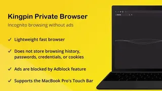 Kingpin Private Browser screenshot