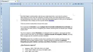 Kingsoft Writer screenshot