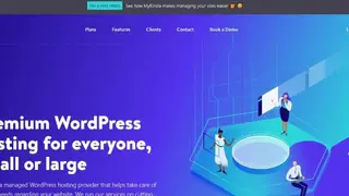 Kinsta screenshot