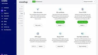 Kinsta screenshot
