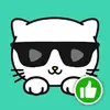 Kitty Live
