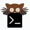 Kitty terminal