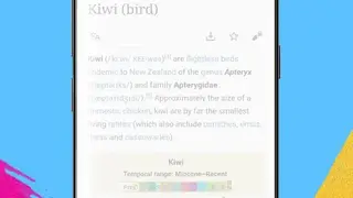 Kiwi Browser screenshot