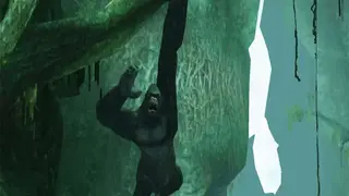 Kong: The 8th Wonder of the World screenshot