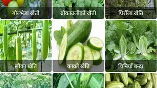 Krishi Guru screenshot
