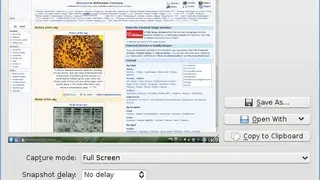 KSnapshot screenshot