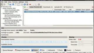 KTorrent screenshot