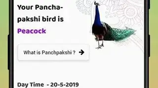 Kundali screenshot
