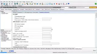 Lacerte Tax screenshot